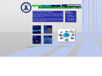 synergyconsultingservices.net snapshot