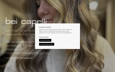 beicapelli.se snapshot