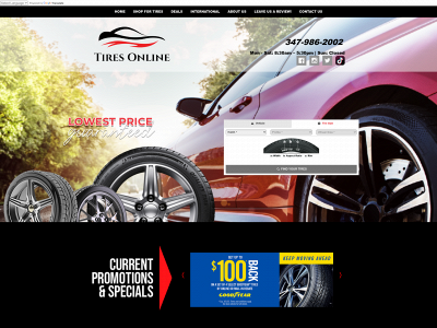 www.tiresonlinecorp.com snapshot