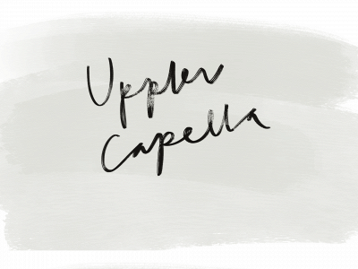 upplevcapella.se snapshot