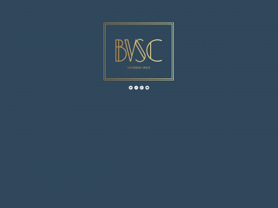 bvsocialclub.se snapshot
