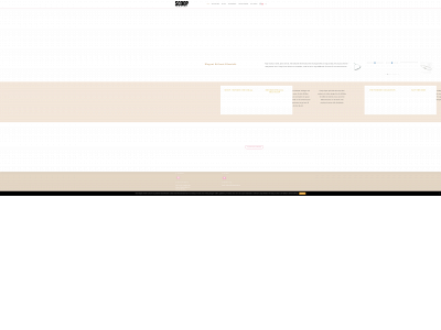 scoopjewellery.se snapshot
