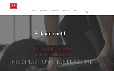 helsingefunktionelstyrke.nu snapshot