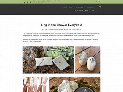 saltydogsoap.com snapshot