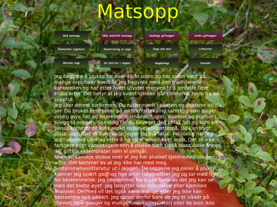 matsoppen.no snapshot