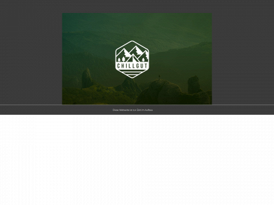 chillgut.store snapshot