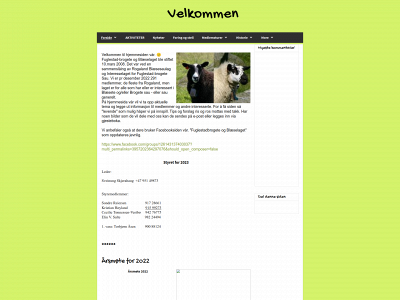 brogeteogblesete.com snapshot