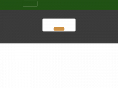 bergerenholdogservice.no snapshot