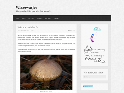 wizzewasjes.be snapshot