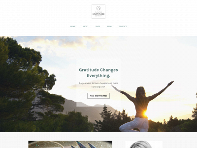 www.thelittlegratitudecompany.co.uk snapshot