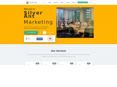 silverantmarketing.com snapshot