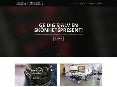 domnarvetsalong.se snapshot