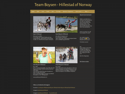 boysen-hillestad.com snapshot