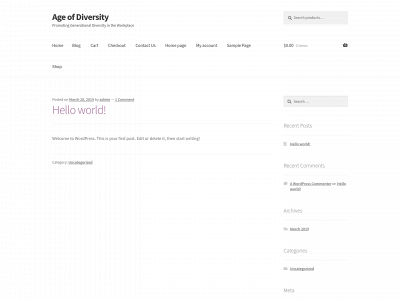 ageofdiversity.com snapshot