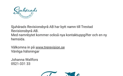 sjurevision.se snapshot