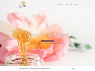 bodysugaring.nu snapshot