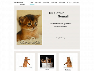 catika.com snapshot
