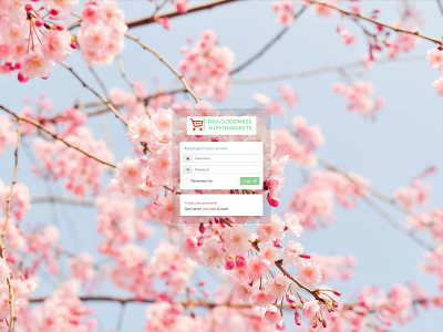 ohayosolutions.com snapshot