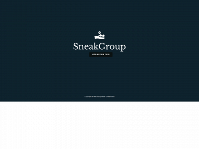 sneakgroup.dk snapshot