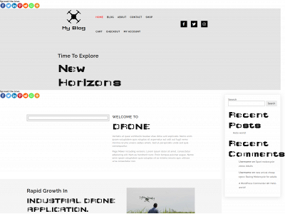 paddycotch.site snapshot