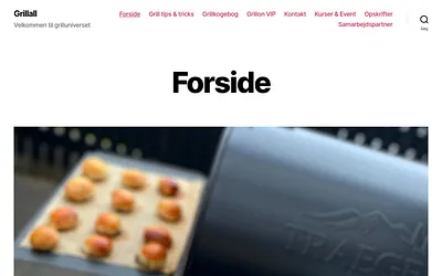 grillall.dk snapshot