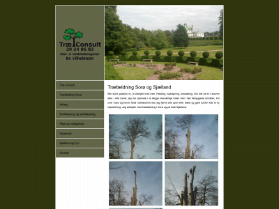 traeconsult.dk snapshot