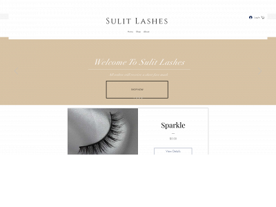 sulitlashes.com snapshot