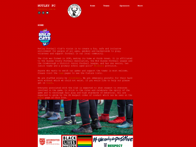 nutleyfc.co.uk snapshot