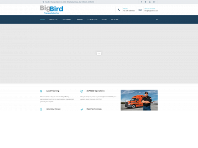 bigbirdinc.com snapshot