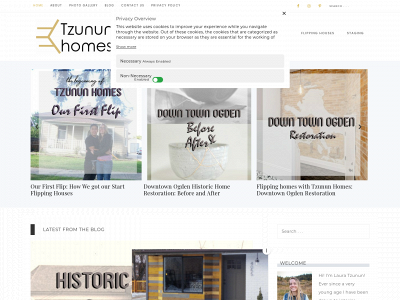 tzununhomes.com snapshot