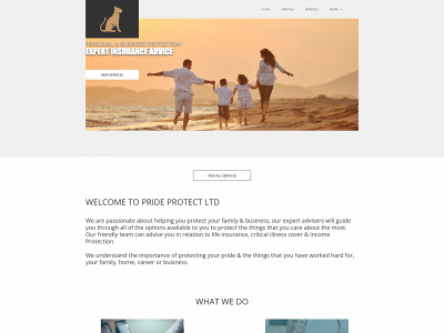 pride-protect.co.uk snapshot