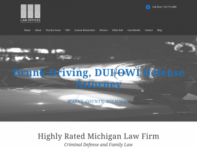 topmichiganlawyers.com snapshot