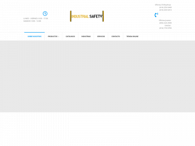 indsaf.com.mx snapshot