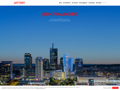 artery.lt snapshot