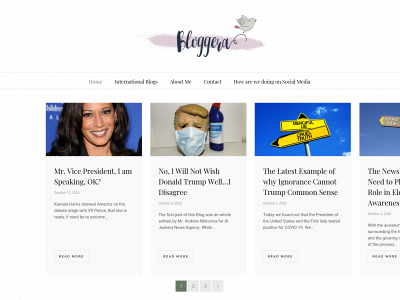 democracyisdiversity.com snapshot