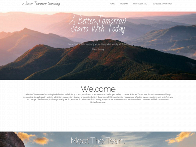 abettertomorrowcounseling.com snapshot