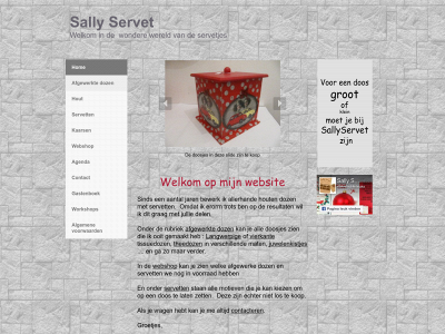 sallyservet.be snapshot