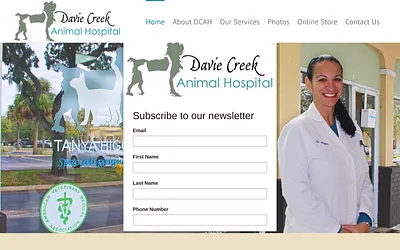 daviecreekanimalhospital.com snapshot