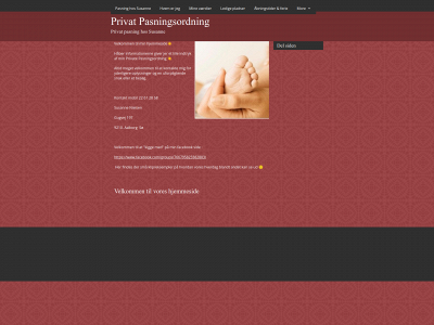 privatpasninggug.dk snapshot