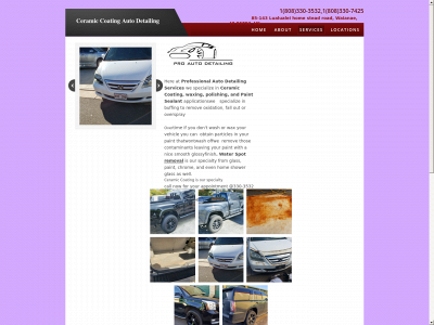 professionalautodetailingservices.com snapshot
