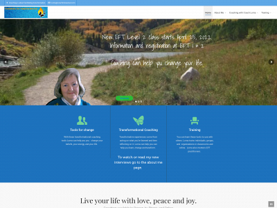 coachminewiser.com snapshot