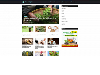 portaldocha.com.br snapshot