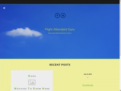 flightattendantguru.com snapshot