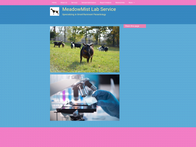 meadowmistlabservice.com snapshot