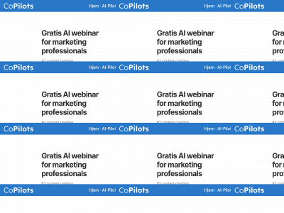 copilots.dk snapshot