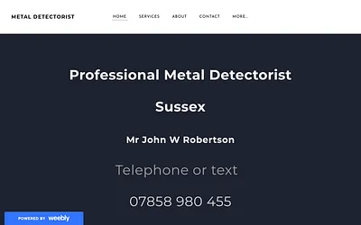 metaldetectorist.weebly.com snapshot