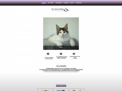 soulstar.dk snapshot