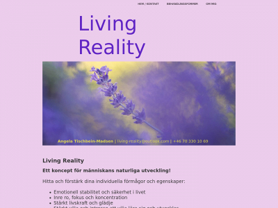 living-reality.se snapshot