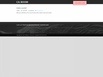2shoez.com snapshot