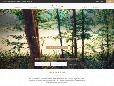liron.com snapshot